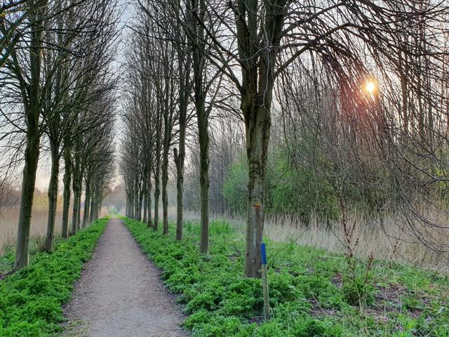 Pijnacker, The Netherlands